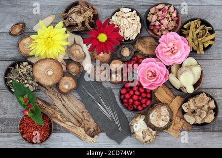 Erbe cinesi, spezie e fiori con aghi di agopuntura utilizzati nella medicina tradizionale a base di erbe su sfondo rustico legno. Foto Stock