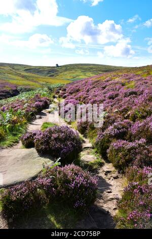 Wuthering Heights, Bronte Country, Haworth Foto Stock