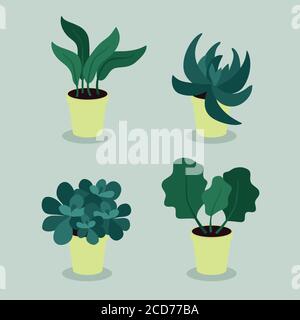 Set piante per interni - illustrazione vettoriale Illustrazione Vettoriale