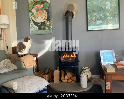 Gatto in camera con stufa a legna Foto Stock