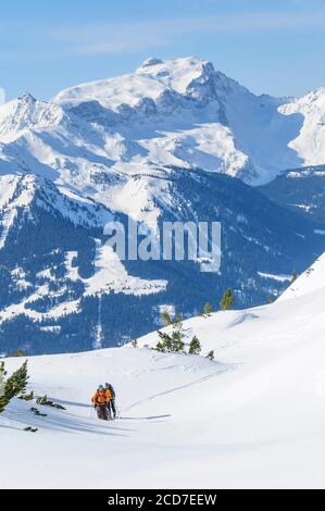 Un gruppo di scialpinisti che salgono in cima alla montagna alpi austriache in una giornata di sole Foto Stock