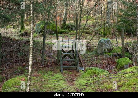 Stile di legno in una foresta. Foto Stock