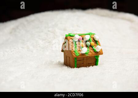 Casa di pane di zenzero decorata con cura. Foto Stock