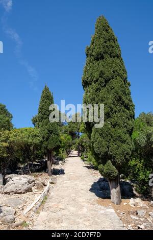 Il 'Sentiero del Paradiso', Isola di Lokrum nel Mare Adriatico al largo di Dubrovnik, Croazia. Location per le riprese di "Trono di Spade" Foto Stock