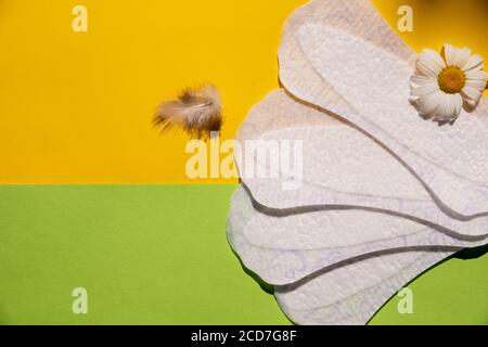 Panty liner con fiori di piuma e camomilla su sfondo luminoso. Mestruazioni e donne concetto di igiene quotidiana. Sanitari e margherita fiore Foto Stock