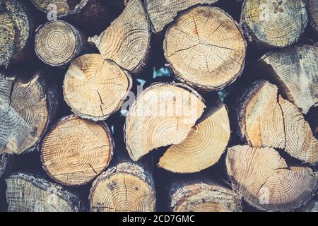 Colpo di primo piano di tronchi di legno tritati dall'alto Foto Stock