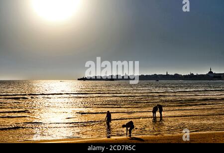 Vista panoramica delle mura della città, del porto di pescatori e dello skyline della città vecchia, ad Acre Akko, Israele Foto Stock