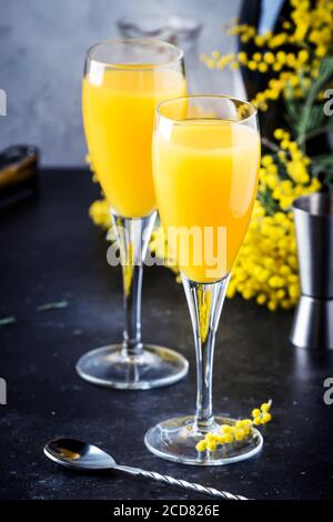 Cocktail di alcol Mimosa con succo d'arancia e champagne freddo secco o spumante in bicchieri, sfondo grigio bar con fiori giallastri, copia sp Foto Stock