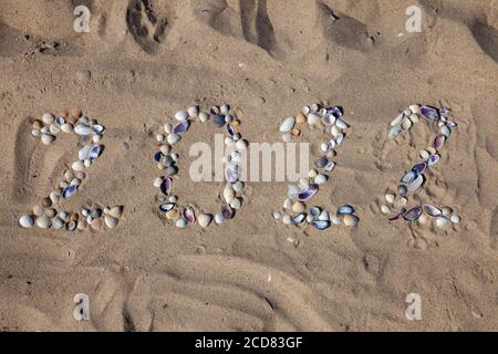 I numeri 2022 sono scritti e rivestiti di conchiglie nella sabbia. Anno nuovo sulla spiaggia. Costa del mare. Inserire il testo. Estate in inverno. Naturale Foto Stock