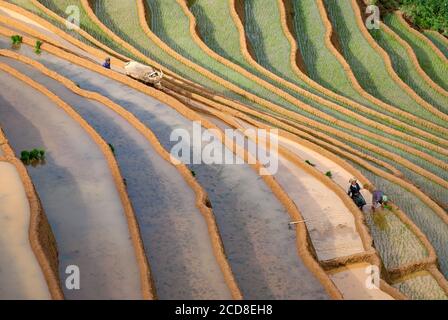 Bellezza paesaggistica, minoranze etniche nella regione montagnosa settentrionale del Vietnam Foto Stock