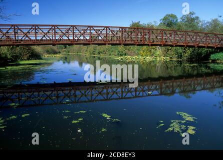 Il ponte escursionistico Mercer Slough, il parco naturale Mercer Slough, Bellevue, Washington Foto Stock