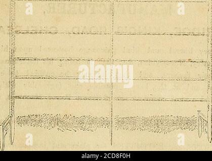 . La cronaca dei giardinieri e la gazzetta agricola . No. 11 varietà, pollame forte e fence di prova del pollo. C. & CO.S È ora pronto IL NUOVO CATALOGO ILLUSTRATO. Contiene le descrizioni delle suddette e di altre recinzioni di filo di ferro per Parchi, Farms, Giardini, GamePreserves, campi di pollame, &c. Affrancatura gratuita alla ricezione del timbro. GREENING & Co., Victoria Iron and Wire Works, 81, Oxford Street, Manchester. INDIRIZZO: I DIRIGENTI, ST. PANCRAS IRONWORKS. I lavori del ferro di St. Pancras si trovano di fronte alla VECCHIA CHIESA di St. PANCRAS, LA VECCHIA St. PANCRAS ROAD, LONDRA. I R 0 OSTACOLI PER BARRA COLLARINO. DA SUA MAJESTYS ROYAL LETTERE PA Foto Stock