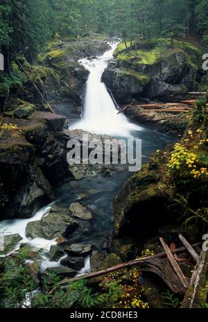 Silver Falls, Mt Rainier National Park, Washington Foto Stock