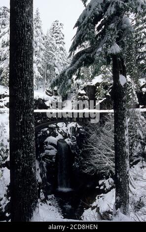 Christine Falls, Mt Rainier National Park, Washington Foto Stock