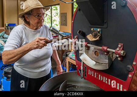 Torrefazione biologica del caffè in Costa Rica Foto Stock