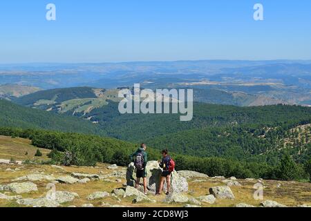 Francia, Occitanie, Gard, la montagna Aigoual Foto Stock