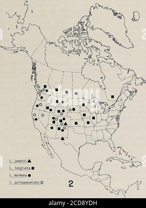 . Memorie della American Entomological Society . y, ma variabili e talvolta sim-ilar a femmine di altri gruppi, 4. Ovuli con colletto ben sviluppato e corione rel-tivamente liscio, con piccole forature, e creste ridotte orassenti; Inferiore 1/3 di uovo con micropili disposti in gruppi di 2 o 3, solo su un lato, 5. Fila debole di spinole occipitali sulla testa ninfea, 6. Femora ninfale, tibia e tarso con una frangia dorsale di capelli lunghi, e 7. Tre strisce longitudinali sulla terga addominale. S. W. SZCZYTKO & K. W. STEWART 17 il gruppo è ampiamente distribuito dall'Illinois alla California e a Texast Foto Stock