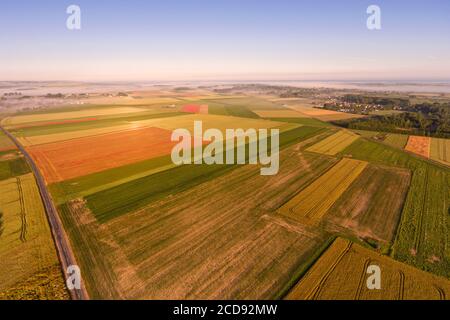 Francia, Somme, Baia della Somme, Saint-Valery-sur-Somme, i campi di papaveri tra Saint-Valery-sur-Somme e Pend? sono diventati una vera attrazione turistica e molte persone vengono a fotografare lì (vista aerea) Foto Stock