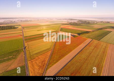 Francia, Somme, Baia della Somme, Saint-Valery-sur-Somme, i campi di papaveri tra Saint-Valery-sur-Somme e Pend? sono diventati una vera attrazione turistica e molte persone vengono a fotografare lì (vista aerea) Foto Stock