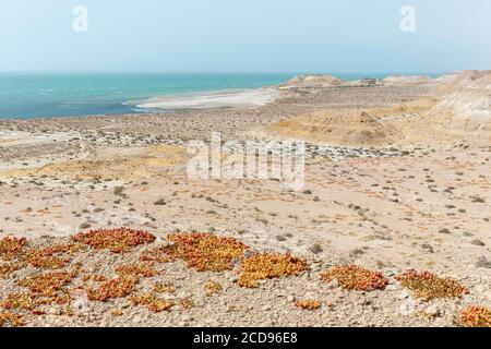 Marocco, Oued ed-Dahab, Dakhla, vista di un eco-Lodge in un ambiente deserto vicino al mare Foto Stock