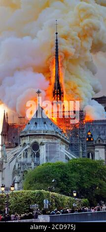 [ Unpublished - Exclusive ] Francia, Parigi, zona dichiarata Patrimonio Mondiale dall'UNESCO, Cattedrale di Notre Dame del 14 ° secolo architettura gotica durante l'incendio del 15 aprile 2019, fuoco che si diffonde nella freccia la cornice del transetto e il tetto della navata, fumo giallo spesso proveniente dalla combustione del tetto di piombo Foto Stock