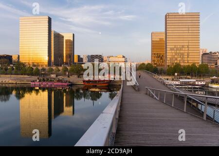 Francia, Parigi, le rive della Senna Bibliotheque Nationale de France (Biblioteca Nazionale di Francia) dall'architetto Dominique Perrault visto dal ponte pedonale Simone de Beauvoir dall'architetto Dietmar Feichtinger Foto Stock