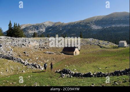 Francia, Drome, Parco Naturale Regionale del Vercors, escursioni sugli altipiani del Vercors alla nuova Jasse de la Chau e la cima di Pierre Blanche Foto Stock