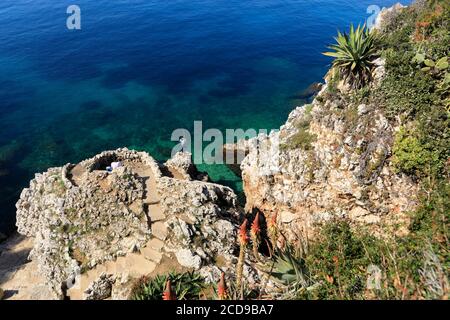 Francia, Alpi Marittime, Antibes, Cap d'Antibes, sentiero costiero, Aloe arborescente e yucca Foto Stock