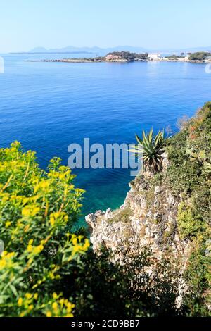 Francia, Alpi Marittime, Antibes, Cap d'Antibes, sentiero costiero, euforbia e yucca Foto Stock