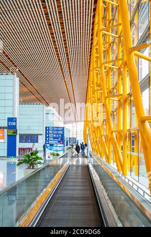 Cina, Pechino, aeroporto internazionale di Pechino o Pechino-capitale Foto Stock