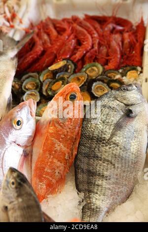 Marocco, Tangeri Tetouan regione, Tangeri, pesci colorati e gamberi su una stalla souk