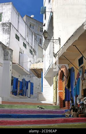 Marocco, Tangeri Tetouan regione, Tangeri, gatto su scale con gradini multicolore in un vicolo della medina Foto Stock