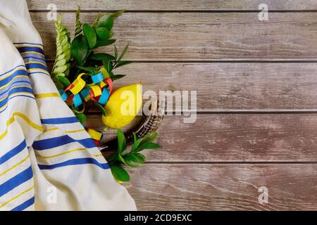 Etrog religioso giallo del citron, lulav della foglia con festa ebraica di Sukkot su kippah e tallit Foto Stock