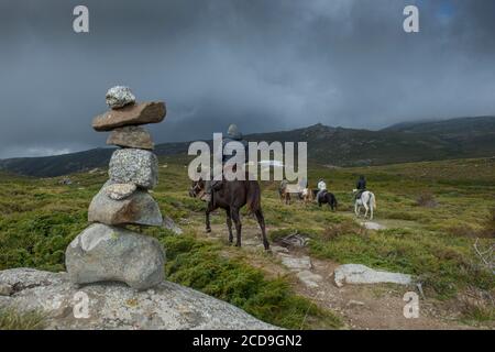 Francia, Corse du Sud, alta Rocca, altopiano di Coscione, equitazione sul pianoro intorno al Castlu d'Ornocciu con docente centro equestre Justine Tauvel Foto Stock