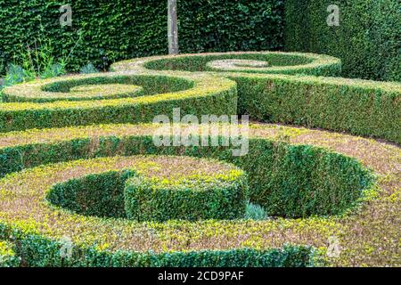 Siepe di scatola tagliata nel giardino murato a Houghton Hall, Norfolk. Foto Stock