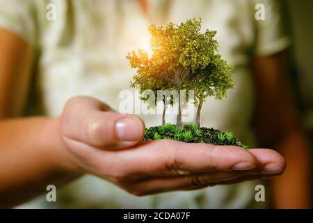 La mano della donna che tiene alberi, naturale e concetto di stile di vita ecologico, giardinaggio in ambiente puro e sano Foto Stock