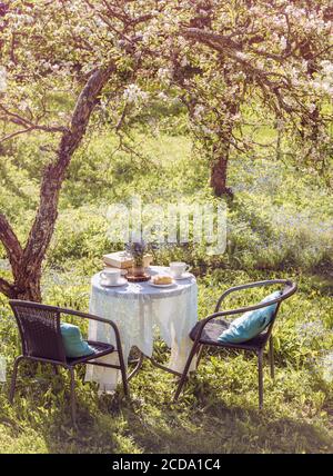 Primavera in giardino. Set da tavolo con tazze da tè, boho reuse vaso con dimenticare di me non fiori (Myosotis) e piccola pila di libri. Estate relax. Foto Stock