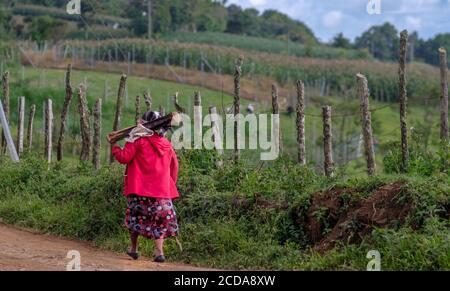 Primo piano di una vecchia signora che cammina portando un pezzo di legno in una zona rurale Foto Stock