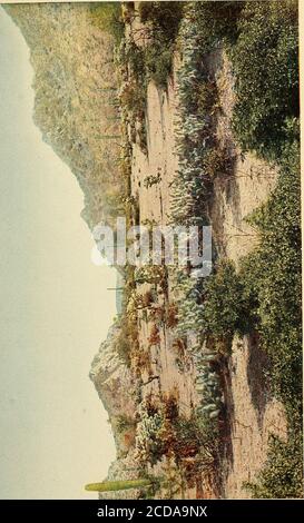 . Falò nel deserto e nella lava . ks, trovato nel buio -^MR., Sykes trova un enorme cratere - Nature che piantano sul CraterFloor - due colpi di fucile. Guardando indietro con una prospettiva di 3.000 miglia, sono tentato di considerare MacDougal Pass come una delle meravigliose manifestazioni del nostro viaggio. I libri di viaggio di Hundredsof sono stati scritti circa molto meno thanwas dispiegati davanti a noi in quel dodicesimo memorabile di novembre e le prime ore del giorno seguente. Ona nastro verde stretto di venti miglia lungo vi erano serie strunga di gioielli natura della prima acqua, terminando il pendolo del vulcano ina che semplicemente fas Foto Stock