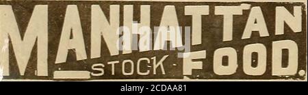 . Allevatore e sportivo . Da Clow, Gbanollkrs, Spagna, 18 febbraio 1904.. MARCHIO RED BALL. Vincitore del premio Gold MedalAt California StateFair 1893. Ogni cavallo whoowner valuta il suo stock shouldperennemente hanno una sup-ply di esso a portata di mano. Itimproves e keepstock nel rosa ofcondition.Manhattan Poood Co 1253 Folsotn St., San Francisco Bk i vostri generi alimentari o commercianti per esso. Positivamente Cure coliche. Strofinare e indigestione. C P. KERTELL Manager Jaok Farm, Cedar Rapids, Iowa. Su strada. Tre vetture catalane e Majorcas. Miglior lotto: Mai spedito in America. Rockwell. : My Mammoth Home-bred Jacks sono della più alta qualità. Foto Stock