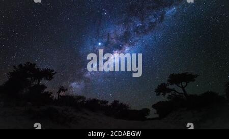 Cielo notturno con Via Lattea galaxy su tree sagome, come si vede dalla costa del Madagascar Foto Stock