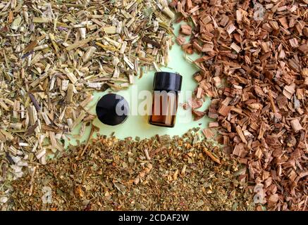 Erbe healing e olio essenziale, medicina di erbe. Sfondo composto da radici secche miste, fiori, erbe per uso medico. Due bottiglie scure di Essential Foto Stock