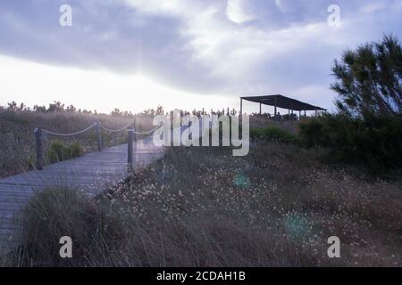 pasarela de madera rodeada de vegetación en la playa del saler en valencia con el mirador de fondo y las nubes y sol del atardecer Foto Stock