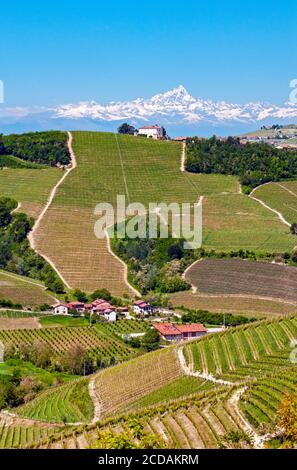 Vista sui vigneti e sulle montagne da Serralunga, Piemonte, Italia Foto Stock