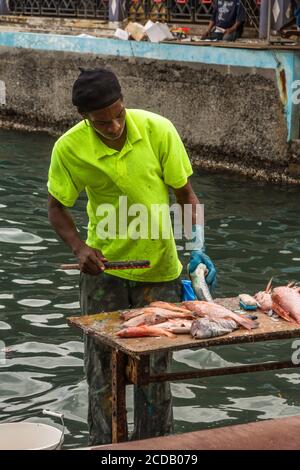 Un uomo che pulisce pesce per la vendita nel mercato sul Promenade Point-a-Pitre, Guadalupa. Sta rimuovendo la bilancia con un bastone con i tappi a delle bottiglie di birra Foto Stock