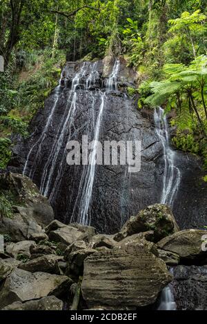 Cascate di la Coca nella foresta nazionale tropicale di El Yunque a Puerto Rico. Foto Stock