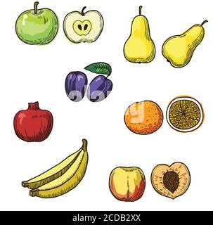Grande set di frutta disegnata a mano Illustrazione Vettoriale