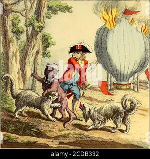 . Histoire des ballons et des aéronautes célèbres ... s illusions dues à la rotation de laérostat, ou par les dévia-tions naturelles du courant aérien où ils se trouvaient immer-gés: il nest pas adirsible que la faible force de leurs bras ait puproduire un effet de translation semblable à celui quils décrivent.la descento sopéra très doucement près de la prairie dette-vaux; les aéronautes, sans dégonfler leur ballon, se firent trans-porter à létat captif par des paysans de bonne volonté jusquedans le voisinage de Dijon, où subitement un coup de ventfaillit crever leur aérotat et les décida Foto Stock