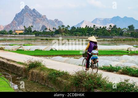 Campo di riso terrazzato all'interno della nebbia e raggio di mattina in Mu Cang Chai Vietnam Foto Stock