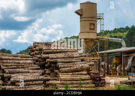 Robinson Stave Mill a Morganton, Georgia. (STATI UNITI) Foto Stock